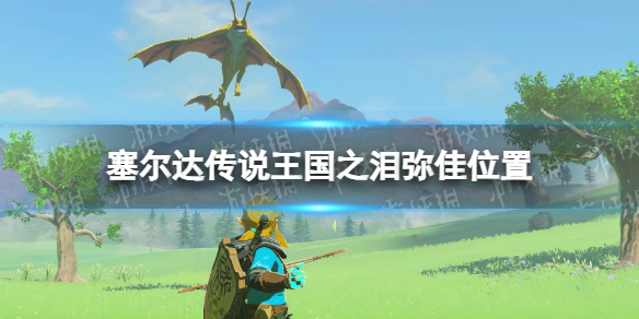 游侠网1