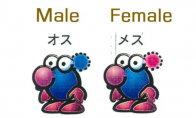 （专题）《皮克敏》早期概念：头部装有可替换AI芯片的生物