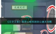 《文字王者》攻略——我老公呢找到老公通关攻略