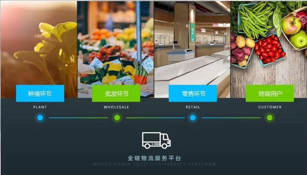 科技赋能“菜篮子”，把蔬菜大棚“搬”上了山坡。